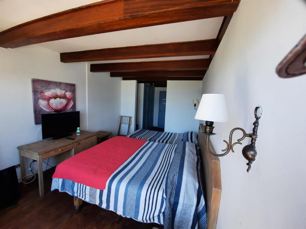 Hotel Camino Del Alto 比尼亚德尔马 外观 照片