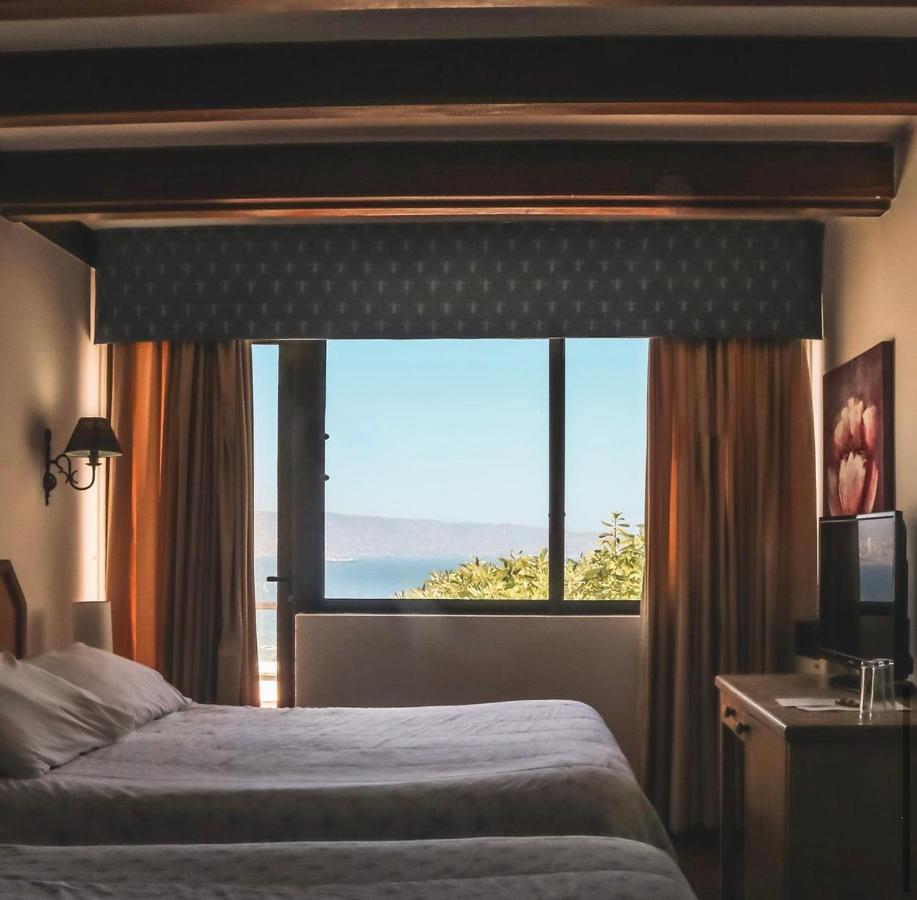 Hotel Camino Del Alto 比尼亚德尔马 外观 照片